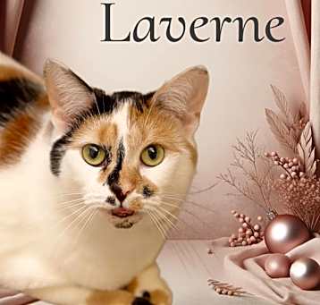 Photo of Laverne
