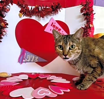 Photo of Sandy