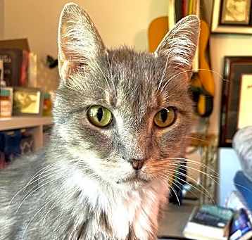 Photo of KITTY BIGSBY