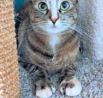Photo of Ember