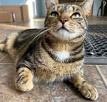 Photo of Topaz