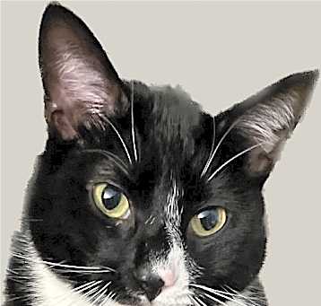 Photo of Zipper
