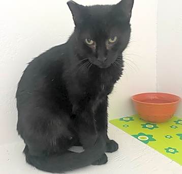 Photo of Diamond