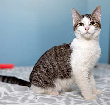 Photo of Maggie