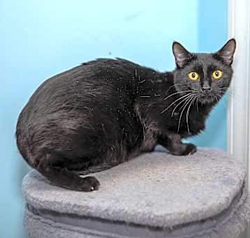 Photo of Jolene