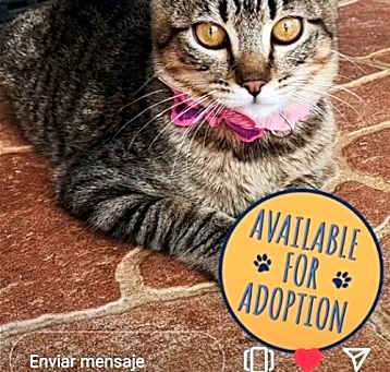 Photo of Mia