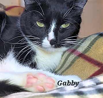 Photo of Gabby