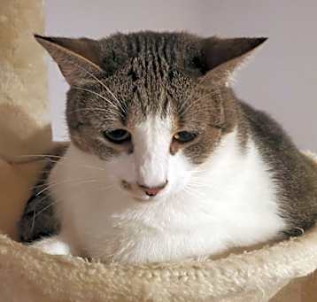 Photo of Delilah