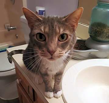 Photo of Rosie