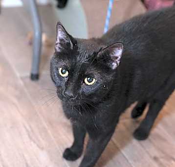 Photo of Spirit