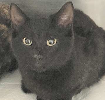 Photo of Jethro