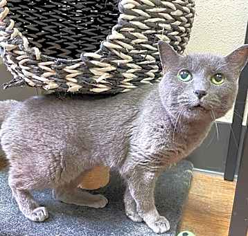 Photo of Bleu