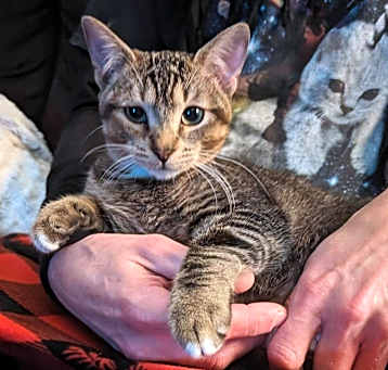 Photo of Tiny Tim