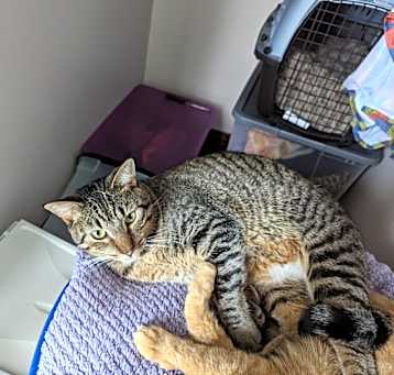 Photo of Lucky