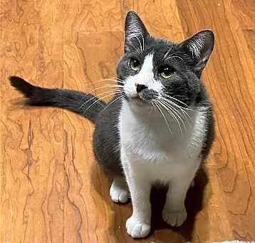 Photo of Anya