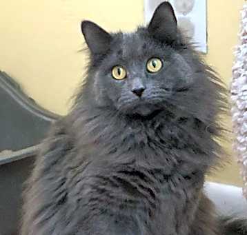 Photo of Storm