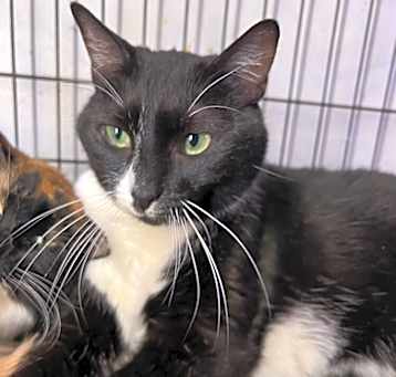 Photo of Nakita