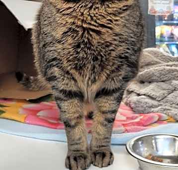 Photo of Handsome boy