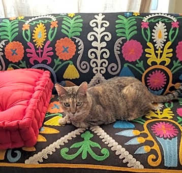 Photo of One lovable girl Lexi