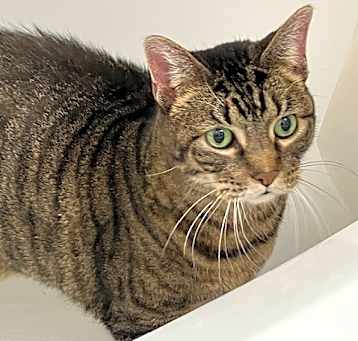 Photo of Evangeline