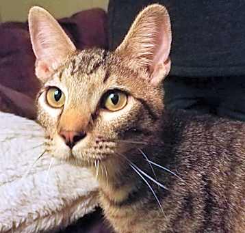 Photo of Wiley