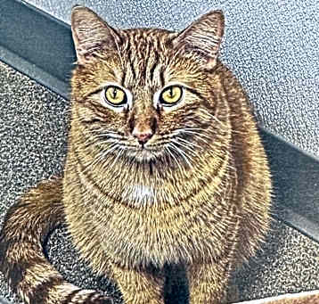 Photo of Jeff