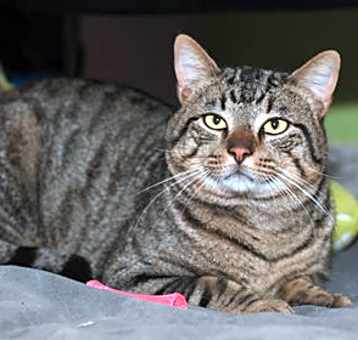 Photo of Kipp