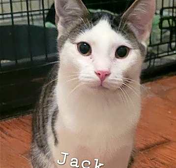 Photo of Jack