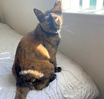 Photo of Spicy