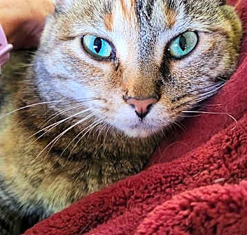 Photo of Spirit