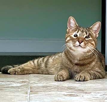 Photo of Ariel