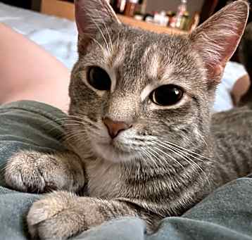 Photo of Cirilla