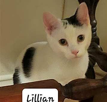 Photo of Lillian