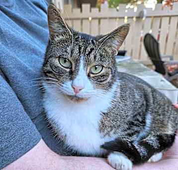 Photo of Ollie