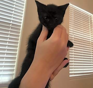 Photo of Unnamed
