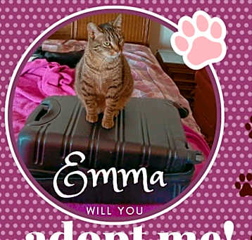 Photo of Emma