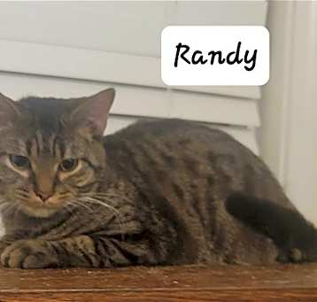 Photo of Randy