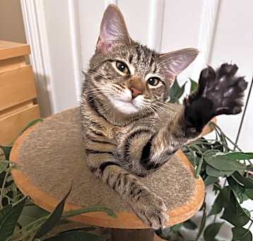 Photo of Valentino