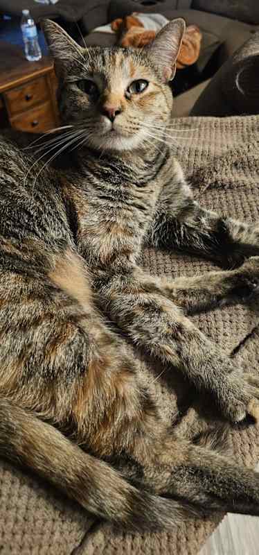 Photo of Mueschka #image