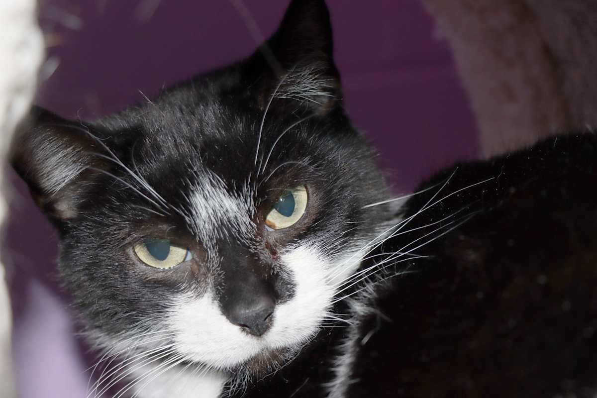 Photo of Lil Bro #image