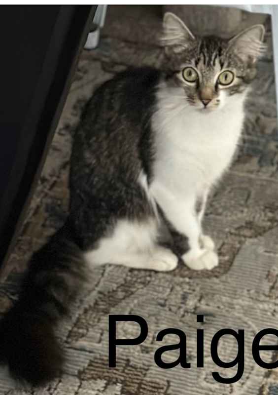 Photo of Paige #image