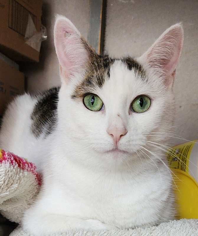 Photo of Peta #image