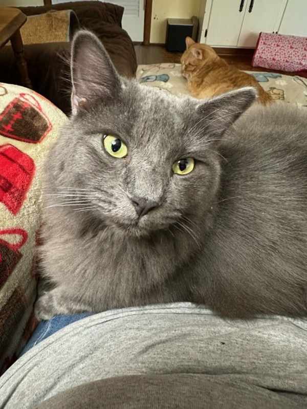 Photo of Izzy #image