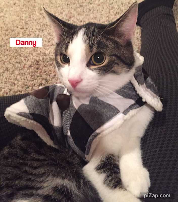 Photo of Danny Wood #image