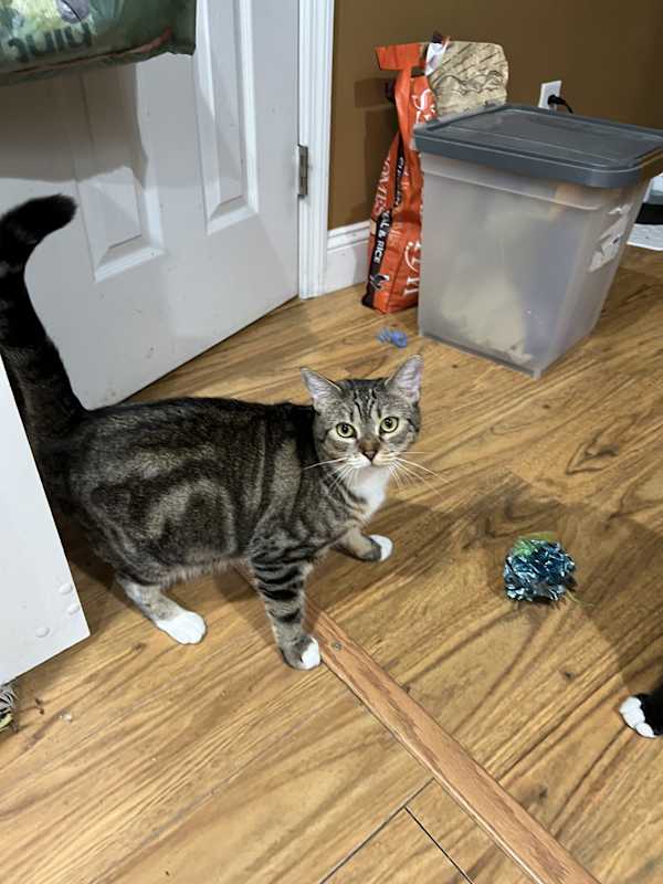 Photo of April #image