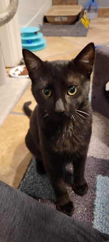 Photo of Bob #image