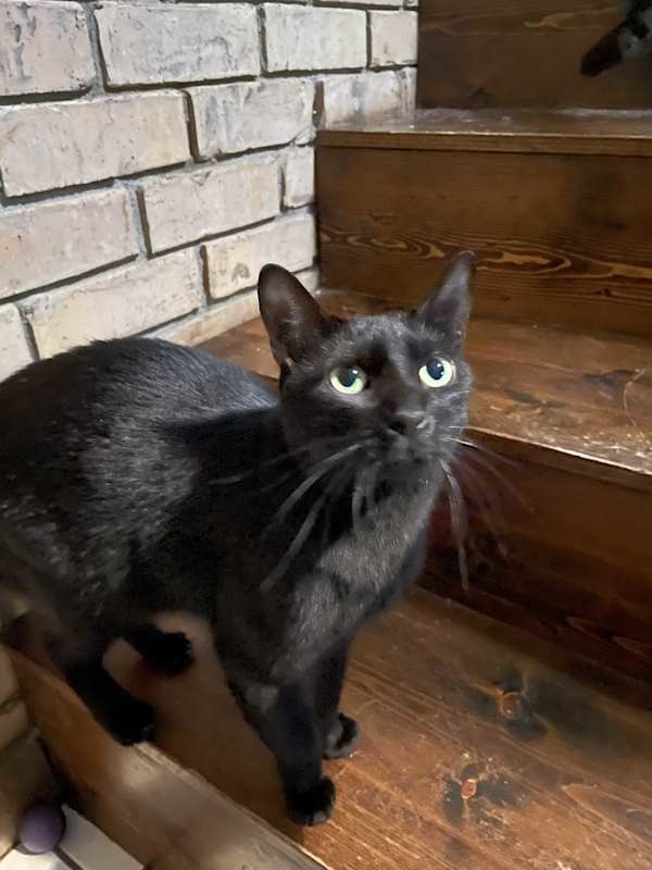 Photo of Monty #image