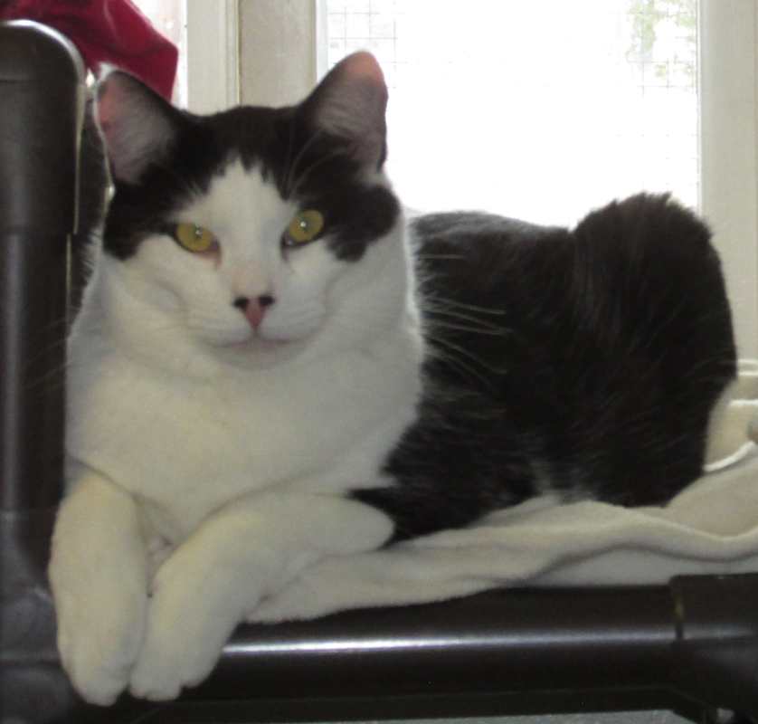 Photo of Kratos #image