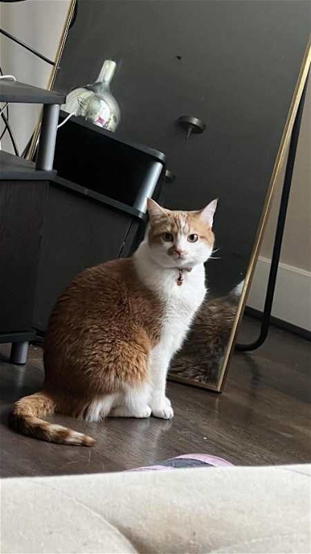 Photo of KIDA (COURTESY POST) #image