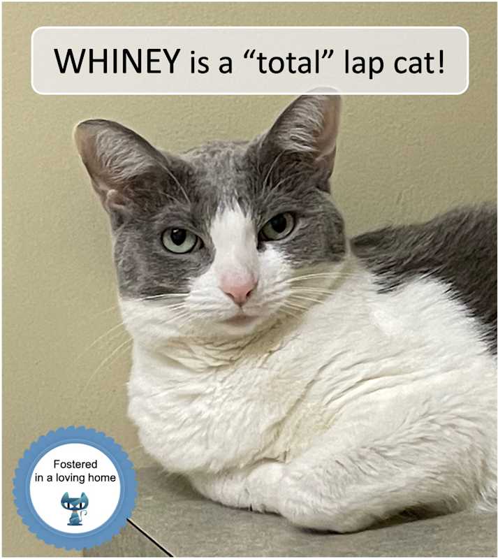 Photo of Whiney #image
